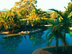 Victorias at Ewingsdale