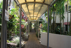 Cairns Reef Apartments and Motel