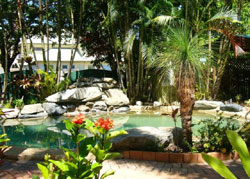 Koala Court Holiday Apartments