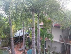 Koala Court Holiday Apartments