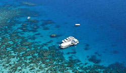 Koala Court Holiday Apartments