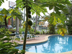 Tropical Queenslander