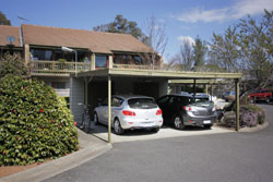 Lyneham Pines