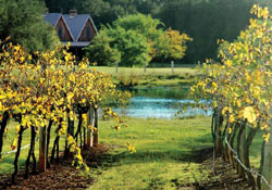 Carriages Boutique Hotel