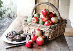 Carriages Boutique Hotel