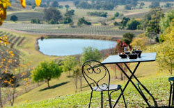 H Boutique Hunter Valley