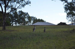 H Boutique Hunter Valley