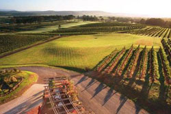 H Boutique Hunter Valley