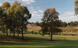 H Boutique Hunter Valley