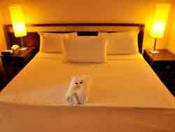 Broadbeach Savannah Resort