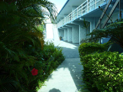 Browns At Broadbeach