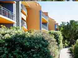 Currumbin Sands On The Beach