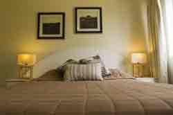 Kirra Palms Apartments