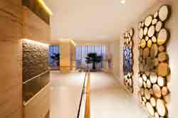 Soul Surfers Paradise