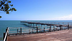 Best Western Ambassador Motor Lodge 