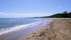 Best Western Ambassador Motor Lodge 