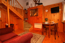 The Lodge on Elizabeth