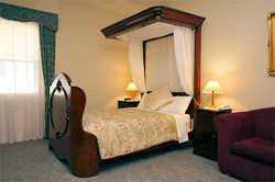 The Lodge on Elizabeth