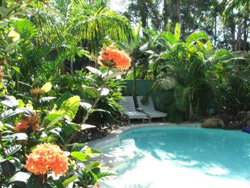 Mission Beach Shores