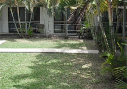 Cool Palms Motel