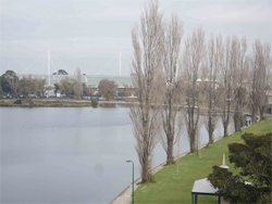 Albert Road Apartments