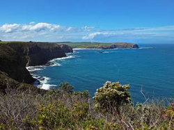 Eastcliff Cottage Sorrento