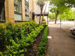 George Powlett Apartments