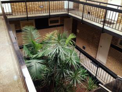 George Powlett Apartments