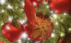 Ibis Styles The Victoria Hotel 