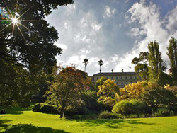 Magnolia Court Boutique Hotel