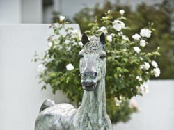 Quest Flemington Apartments