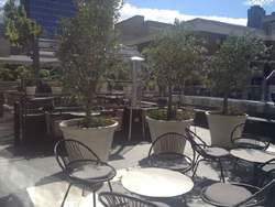 Sheraton Melbourme Hotel