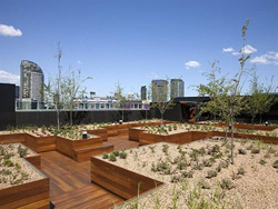 The Sebel Melbourne Docklands