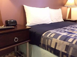 Arcadian Bed And Breakfast