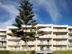 Seashells Scarborough