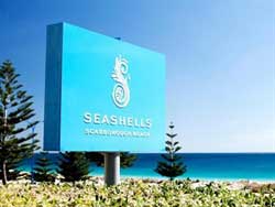 Seashells Scarborough