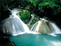 Mossman Motel Villas