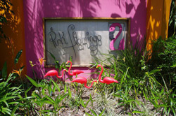 Pink Flamingo Resort