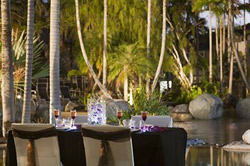 Rendezvous Reef Resort