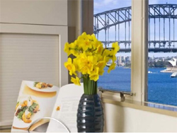 Harbourside Apartments