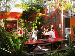 Original Backpackers