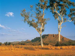 Kings Canyon Wilderness Lodge