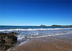 Beaches on Lammermoor Apartments