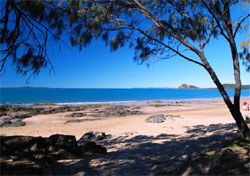 Beaches on Lammermoor Apartments