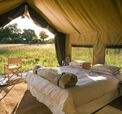 &Beyond Chobe Under Canvas Chobe Park