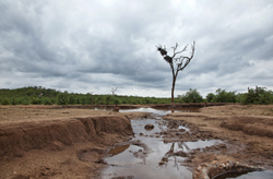Picture taken at Limpopo River Lodge Camping Tuli Block Botswana