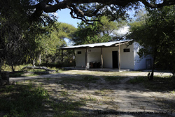 Picture taken at Island Safari Lodge Maun Botswana