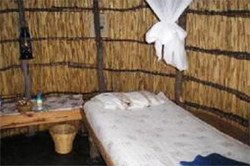 Kaziikini Campsite Maun
