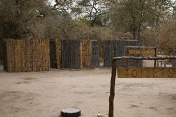 Kaziikini Campsite Maun Botswana