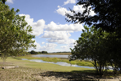 Picture taken at Thalamakane River Lodge Maun Botswana